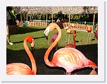At_the _zoo (40) * 2048 x 1536 * (1.45MB)